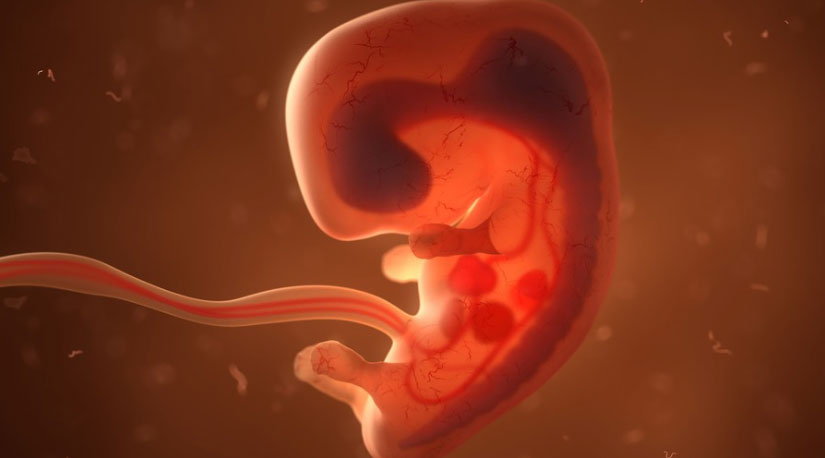 छोराको चाहनामा भ्रूण परिक्षणको खतरा मोल्दै महिलाहरु